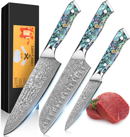 Damascus Kiritsuke Knife 8 inch, Professional Chef Knife, Sharp Hand-Forged Kitchen Knives,Japanese 67-Layers Damascus Steel Cooking Knife,Ergonomic Abalone Shell Ressin Handle with Gift Box