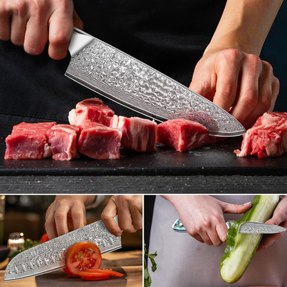 Damascus Kiritsuke Knife 8 inch, Professional Chef Knife, Sharp Hand-Forged Kitchen Knives,Japanese 67-Layers Damascus Steel Cooking Knife,Ergonomic Abalone Shell Ressin Handle with Gift Box