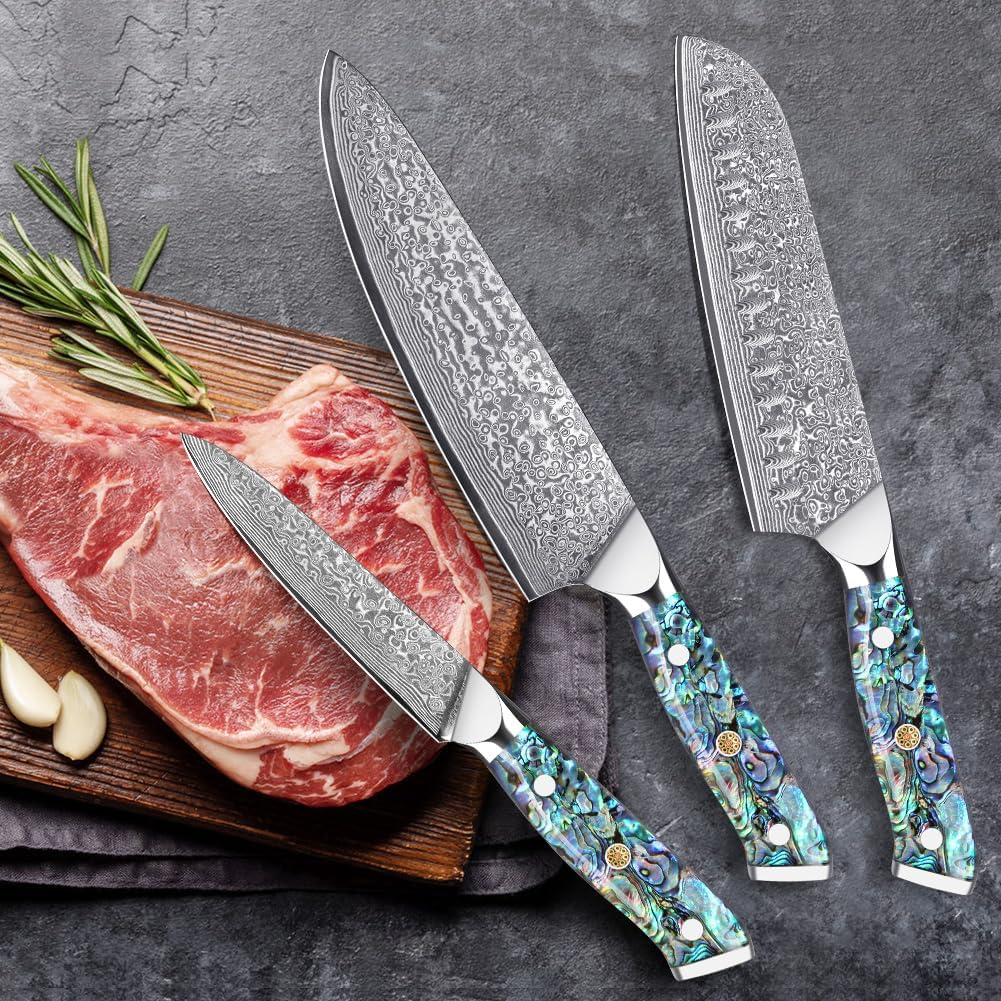 Damascus Kiritsuke Knife 8 inch, Professional Chef Knife, Sharp Hand-Forged Kitchen Knives,Japanese 67-Layers Damascus Steel Cooking Knife,Ergonomic Abalone Shell Ressin Handle with Gift Box