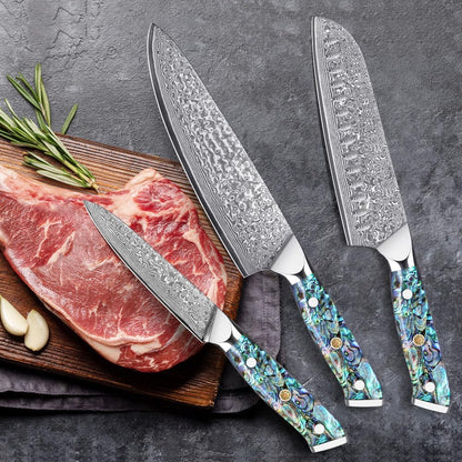 Damascus Kiritsuke Knife 8 inch, Professional Chef Knife, Sharp Hand-Forged Kitchen Knives,Japanese 67-Layers Damascus Steel Cooking Knife,Ergonomic Abalone Shell Ressin Handle with Gift Box