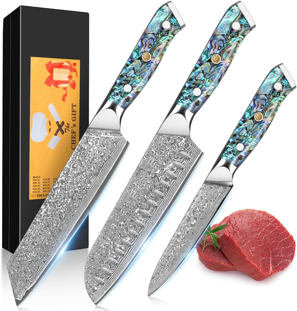 Damascus Kiritsuke Knife 8 inch, Professional Chef Knife, Sharp Hand-Forged Kitchen Knives,Japanese 67-Layers Damascus Steel Cooking Knife,Ergonomic Abalone Shell Ressin Handle with Gift Box