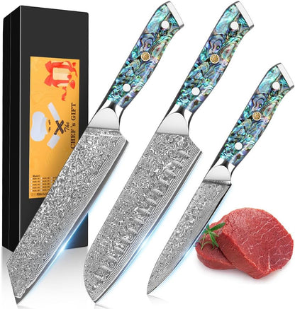 Damascus Kiritsuke Knife 8 inch, Professional Chef Knife, Sharp Hand-Forged Kitchen Knives,Japanese 67-Layers Damascus Steel Cooking Knife,Ergonomic Abalone Shell Ressin Handle with Gift Box