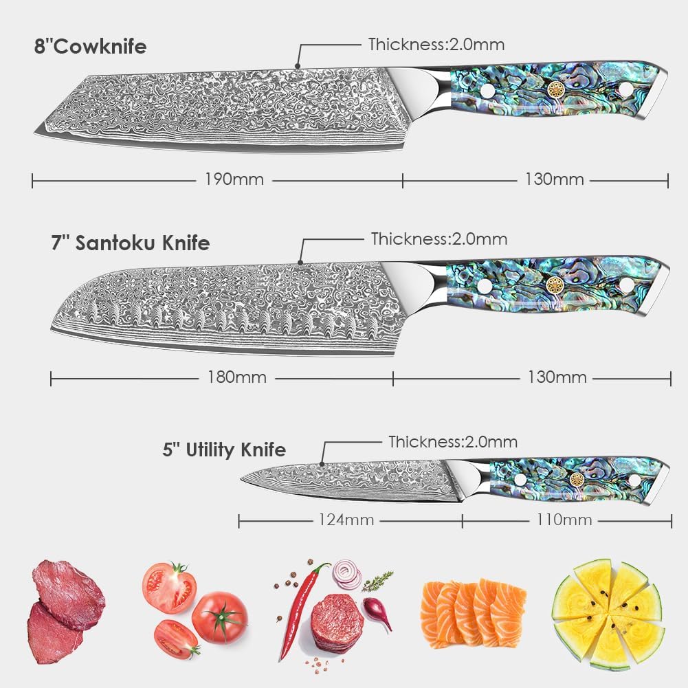 Damascus Kiritsuke Knife 8 inch, Professional Chef Knife, Sharp Hand-Forged Kitchen Knives,Japanese 67-Layers Damascus Steel Cooking Knife,Ergonomic Abalone Shell Ressin Handle with Gift Box