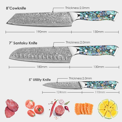 Damascus Kiritsuke Knife 8 inch, Professional Chef Knife, Sharp Hand-Forged Kitchen Knives,Japanese 67-Layers Damascus Steel Cooking Knife,Ergonomic Abalone Shell Ressin Handle with Gift Box
