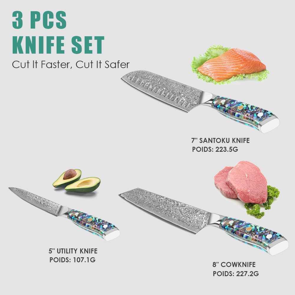 Damascus Kiritsuke Knife 8 inch, Professional Chef Knife, Sharp Hand-Forged Kitchen Knives,Japanese 67-Layers Damascus Steel Cooking Knife,Ergonomic Abalone Shell Ressin Handle with Gift Box
