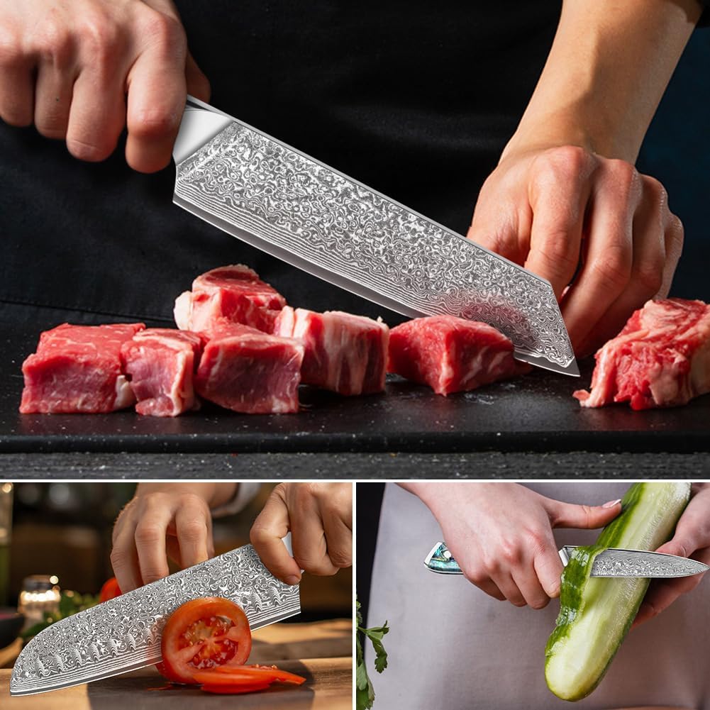 Damascus Kiritsuke Knife 8 inch, Professional Chef Knife, Sharp Hand-Forged Kitchen Knives,Japanese 67-Layers Damascus Steel Cooking Knife,Ergonomic Abalone Shell Ressin Handle with Gift Box