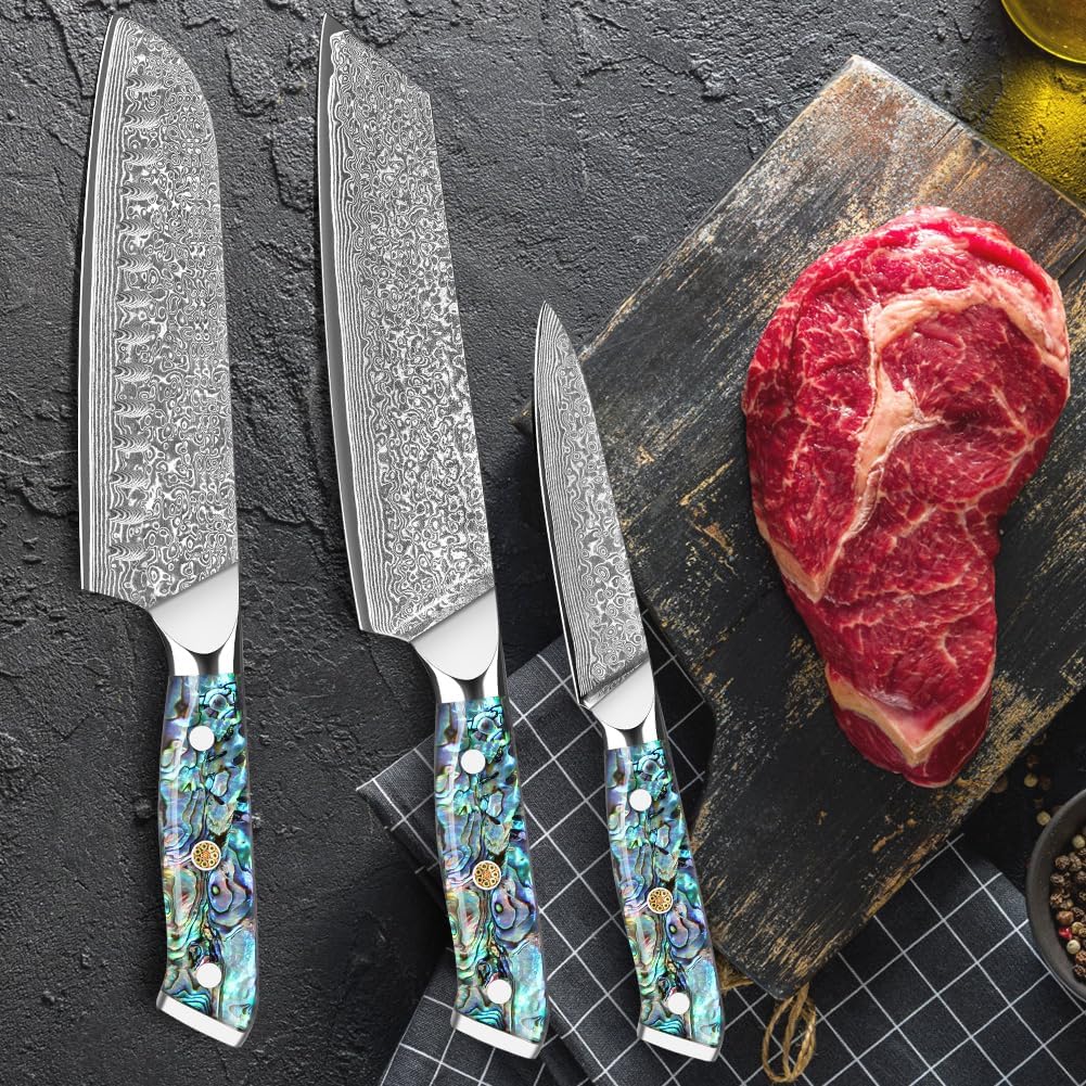 Damascus Kiritsuke Knife 8 inch, Professional Chef Knife, Sharp Hand-Forged Kitchen Knives,Japanese 67-Layers Damascus Steel Cooking Knife,Ergonomic Abalone Shell Ressin Handle with Gift Box