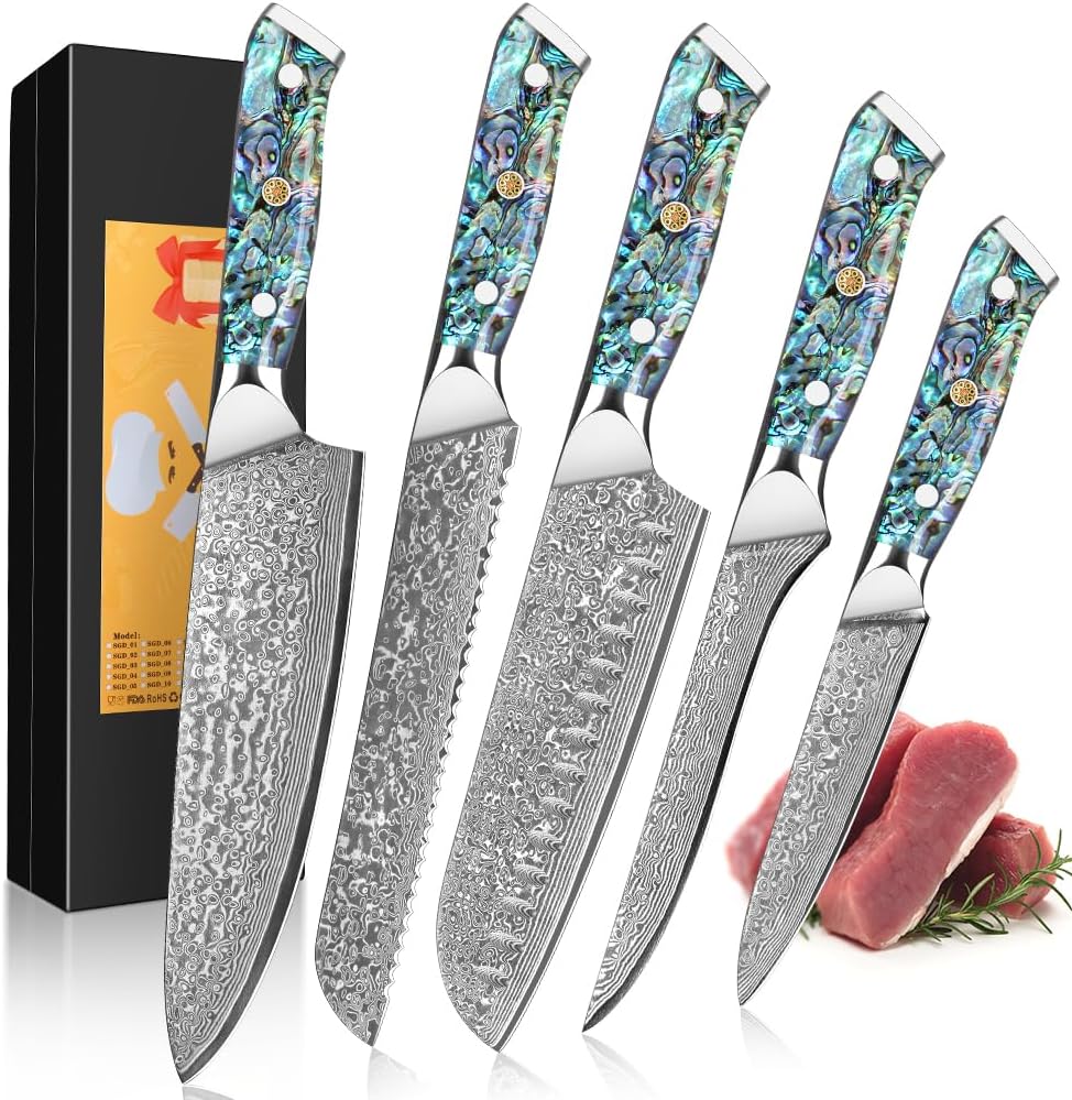 Damascus Kiritsuke Knife 8 inch, Professional Chef Knife, Sharp Hand-Forged Kitchen Knives,Japanese 67-Layers Damascus Steel Cooking Knife,Ergonomic Abalone Shell Ressin Handle with Gift Box