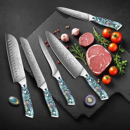 Damascus Kiritsuke Knife 8 inch, Professional Chef Knife, Sharp Hand-Forged Kitchen Knives,Japanese 67-Layers Damascus Steel Cooking Knife,Ergonomic Abalone Shell Ressin Handle with Gift Box