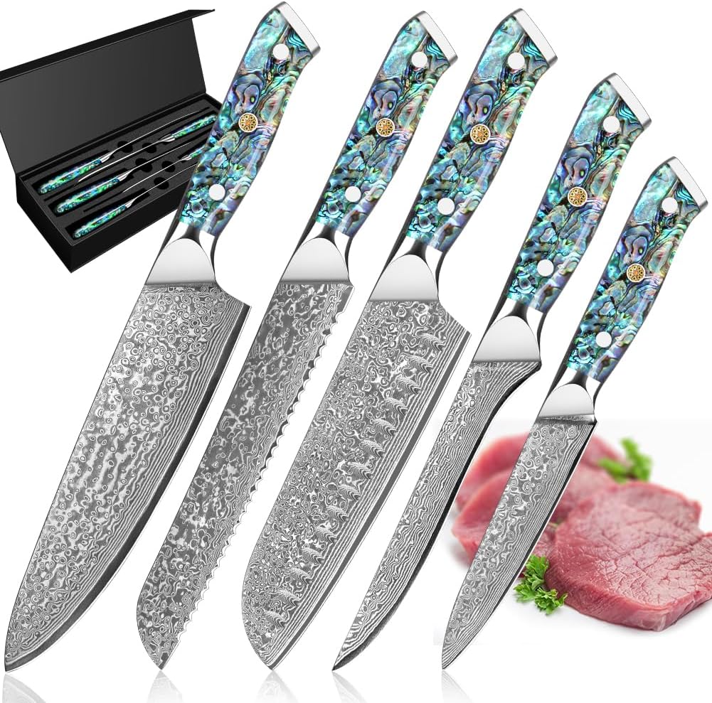 Damascus Kiritsuke Knife 8 inch, Professional Chef Knife, Sharp Hand-Forged Kitchen Knives,Japanese 67-Layers Damascus Steel Cooking Knife,Ergonomic Abalone Shell Ressin Handle with Gift Box