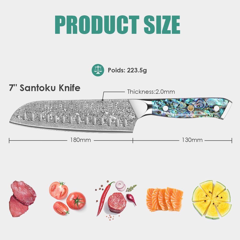 Damascus Kiritsuke Knife 8 inch, Professional Chef Knife, Sharp Hand-Forged Kitchen Knives,Japanese 67-Layers Damascus Steel Cooking Knife,Ergonomic Abalone Shell Ressin Handle with Gift Box