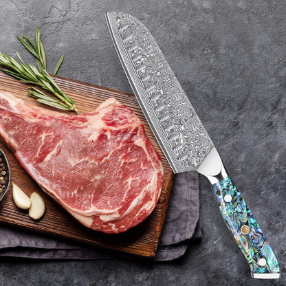 Damascus Kiritsuke Knife 8 inch, Professional Chef Knife, Sharp Hand-Forged Kitchen Knives,Japanese 67-Layers Damascus Steel Cooking Knife,Ergonomic Abalone Shell Ressin Handle with Gift Box