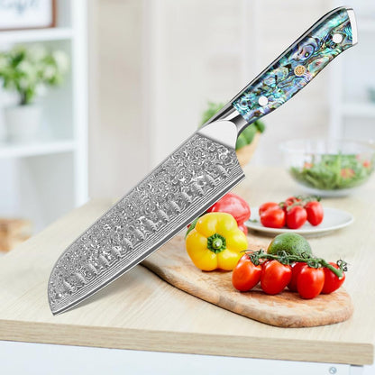 Damascus Kiritsuke Knife 8 inch, Professional Chef Knife, Sharp Hand-Forged Kitchen Knives,Japanese 67-Layers Damascus Steel Cooking Knife,Ergonomic Abalone Shell Ressin Handle with Gift Box