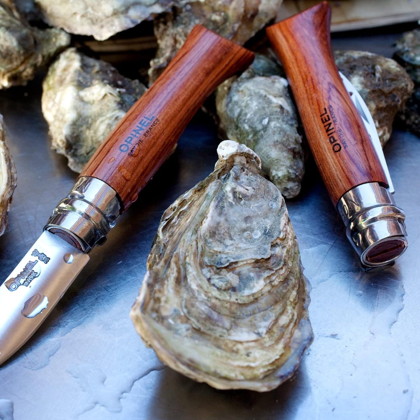 No.09 Stainless Steel Folding Oyster & Shellfish Knife with Padouk Handle