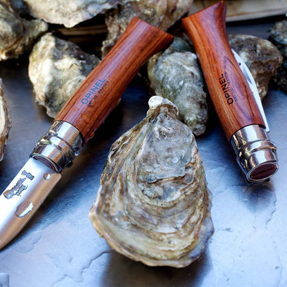 No.09 Stainless Steel Folding Oyster & Shellfish Knife with Padouk Handle