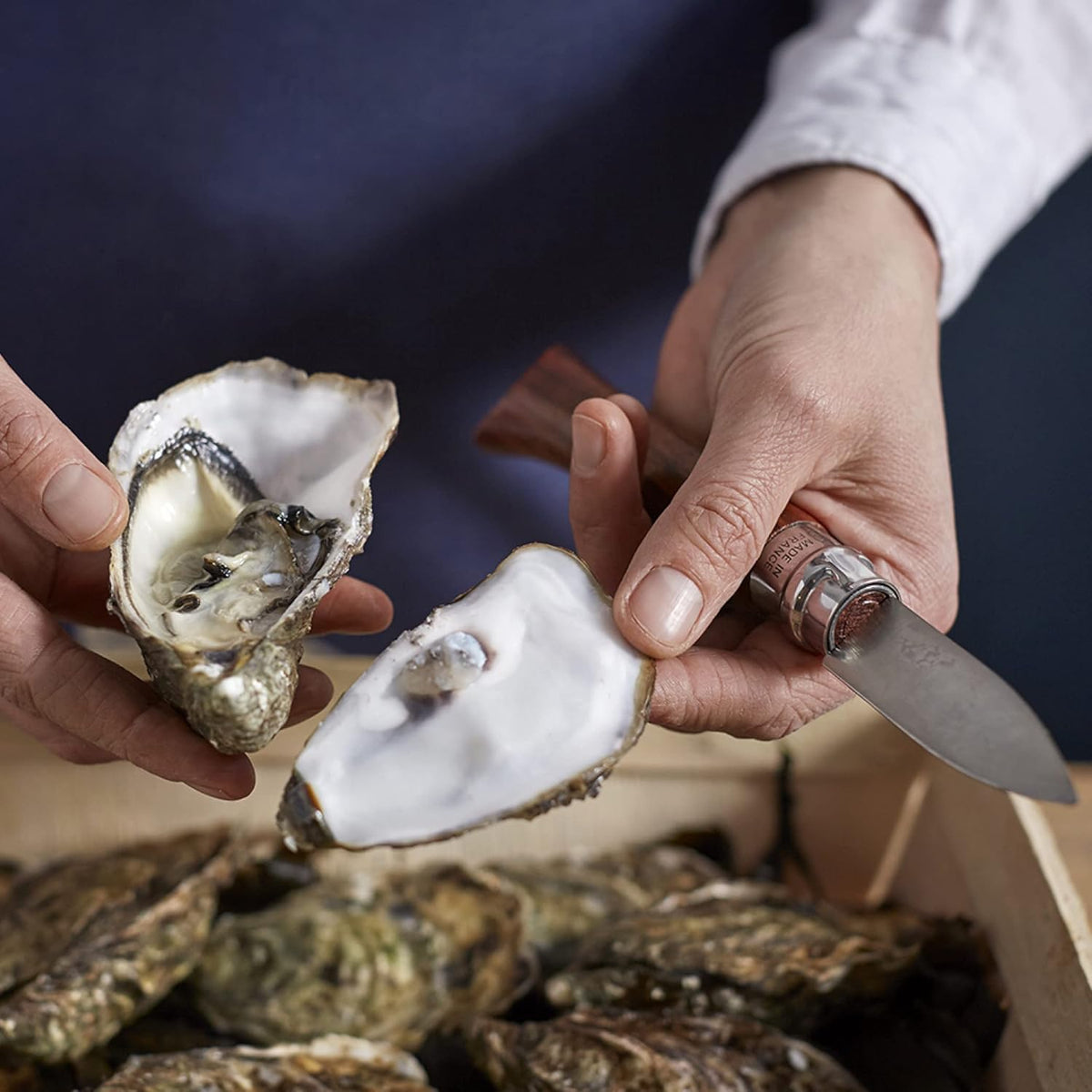No.09 Stainless Steel Folding Oyster & Shellfish Knife with Padouk Handle