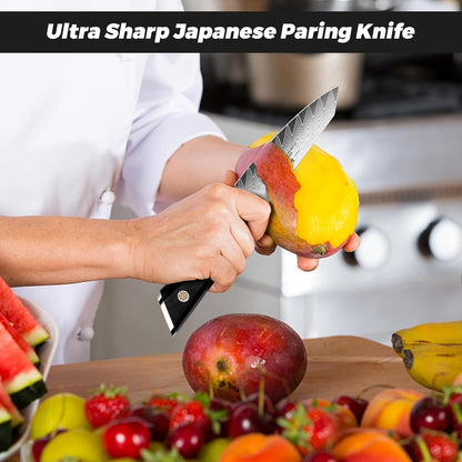 Damascus Chef Knife 8 inch, 67-Layer High Carbon Steel | Ultra Sharp Japanese Chef Knife,Professional Kitchen Utility Knives with G10 Ergonomic Handle Cooking Knife with Gift Box