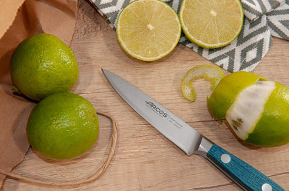 Forged Boning Knife in Nitrum Stainless Steel, Professional 6 Inch Butcher Knife for Removing Meat from Bones, Ergonomic Blue Handle, Brooklyn Series
