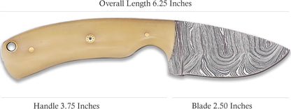 Damacus Steel Fixed Blade Knife with Leather Sheath | 6'' Full Tang Hunting Knife