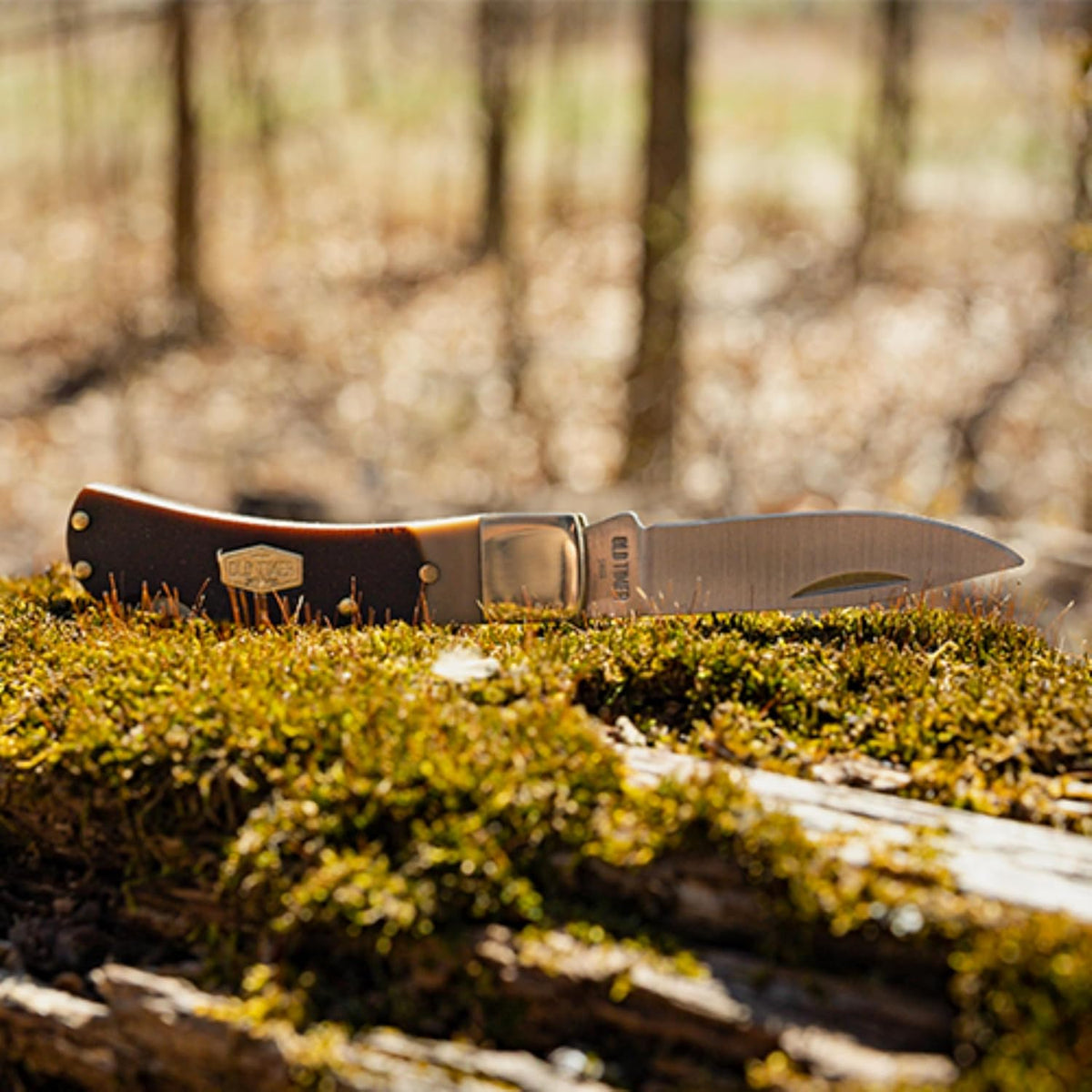 3OT Bearhead Traditional Lockback Pocket Knife with 2.2in High Carbon Stainless Steel Blade, Sawcut Handle, and Convenient Small Size for EDC, Whittling, Camping, Hunting, and Outdoors