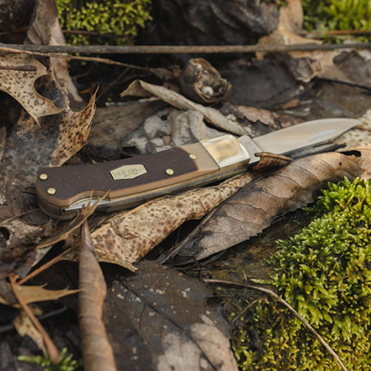 3OT Bearhead Traditional Lockback Pocket Knife with 2.2in High Carbon Stainless Steel Blade, Sawcut Handle, and Convenient Small Size for EDC, Whittling, Camping, Hunting, and Outdoors