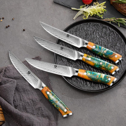 WILDMOK Steak Knife Set 4pc Full Tang 5 inch Forged Damascus Steel Dinner Knives Full Tang Ergonomic Beautiful Resin Handle