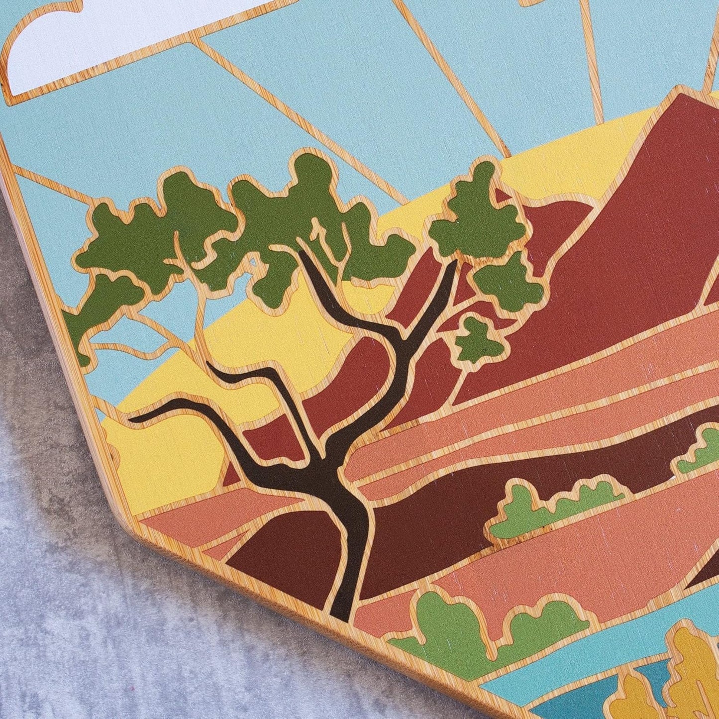 Totally Bamboo North Carolina State Shaped Cutting Board and Charcuterie Serving Platter with Artwork by Summer Stokes, Includes Hang Tie for Wall Display 18" x 8" x 5/8" - Colors A