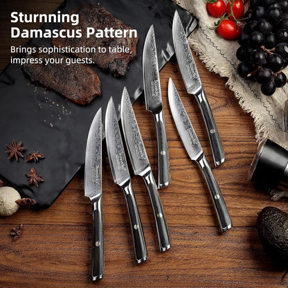 Sunnecko Damascus Steak Knife Set Non Serrated, Japanese VG10 Stainless Steel Steak Knife Set of 2, 5 Inch Steak Knives G10 Handle with Gift Box