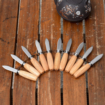 MGTECH 10 Pcs Oyster Shucking Knives, Bulk Oyster Shucker Clam Opener