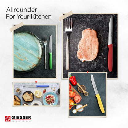 Giesser since 1776, Made in Germany, Serrated kitchen knives round tip dishwasher safe 4.5 inch - Tomato knife, Steak knive set of 6 (MIX Color)