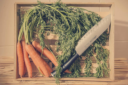 Arcos Paring knife 4 inches Nitrum Stainless Steel.Paring Knife for Peeling Fruits and Vegetables. Ergonomic Polypropylene Black Handle. Series Tango