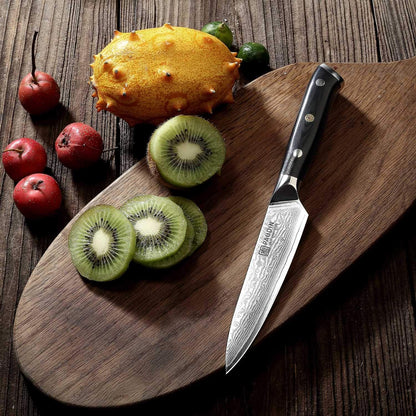 PAUDIN Utility Knife, 5 Inch Chef Knife, Ultra Sharp High Carbon Stainless Steel, Multipurpose Paring Knife for Fruit and Vegetable Cutting with Wooden Handle, Premium Gift Box