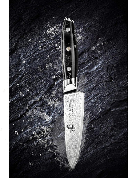 TUO Paring Knife 3.5 Inch - Ultra Sharp Peeling Knife - High Carbon Stainless Steel - Full Tang G10 Handle with Gift Box - Black Hawk S Series