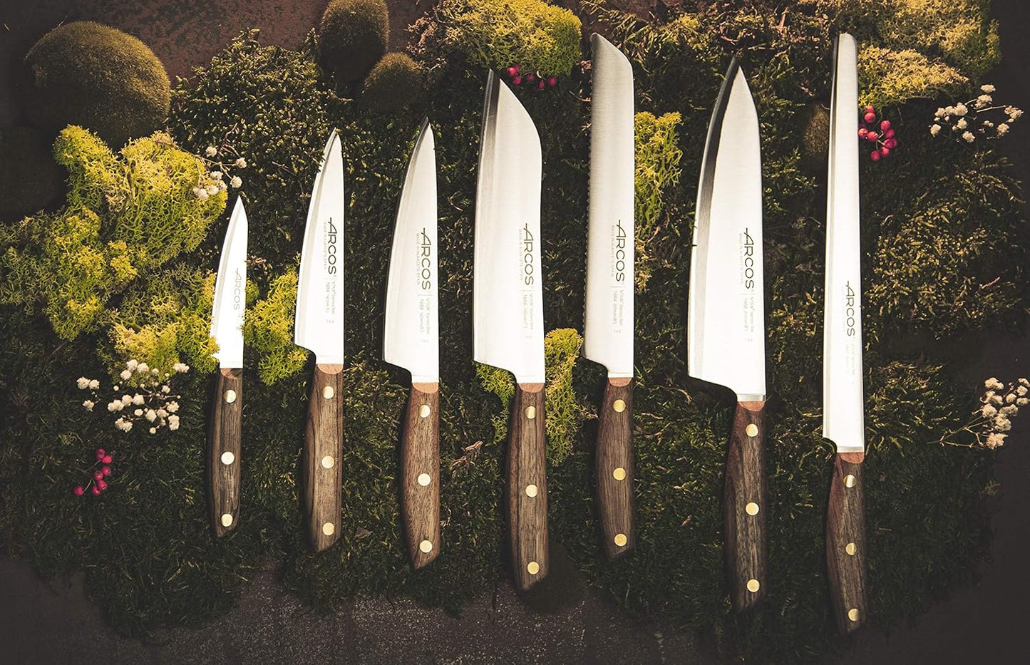 Arcos Deba Knife 7 Inch Stainless Steel. Japanese Kitchen Knife for Fish, Meat and Vegetables. Ovengkol Wood Handle 100% natural FSC and 170mm Blade. Series Nordika. Color Brown.