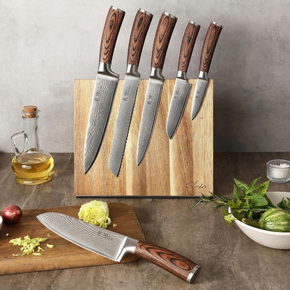Wakoli Damascus Chef Knife Set with Magnetic Block – 5-Piece Professional Kitchen Knife Block Set, Genuine 67-Layer Damascus Steel Blades with VG10 Core & Ergonomic Sycamore Wood Handles