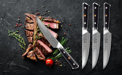 Regalia Paring (Petty) Knife 3.5 inch: Japanese AUS10 Super Steel 67 Layer High Carbon Stainless Damascus Steel Peeling Utility knives
