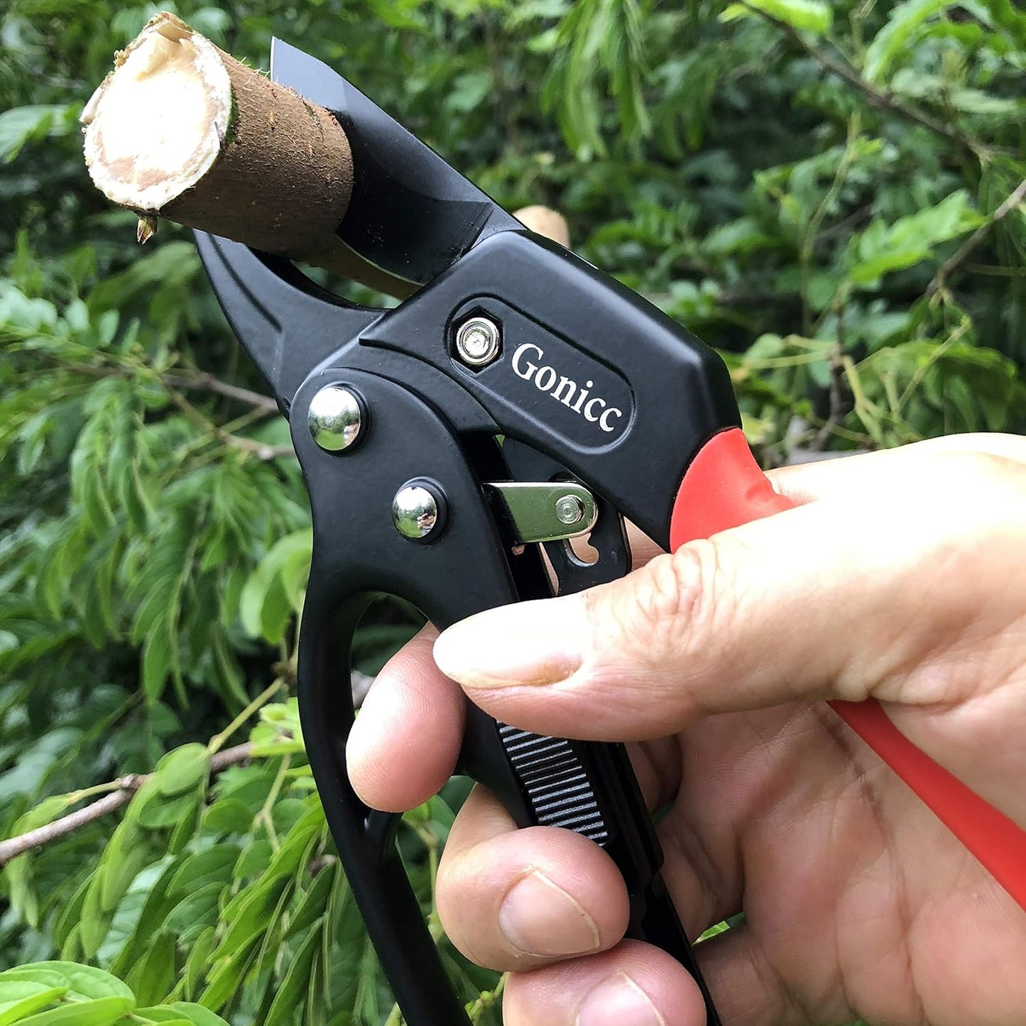 gonicc 8" Professional Premium Titanium Bypass Pruning Shears (GPPS-1003), Hand Pruners, Garden Clippers, Bonsai Cutters