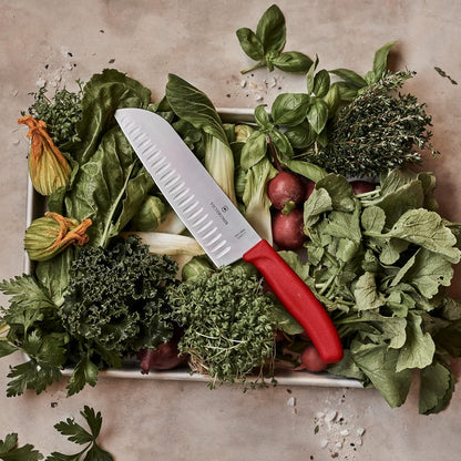 Victorinox Swiss Classic Bread Knife - Serrated Kitchen Knife for Home Essentials - Perfect for Cutting Bread, Fruit & Vegetables - Black Handle, Serrated Edge, 8.5"