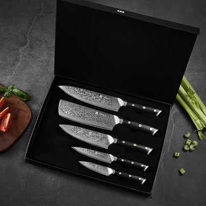 Wakoli Damascus Chef Knife Set with Magnetic Block – 5-Piece Professional Kitchen Knife Block Set, Genuine 67-Layer Damascus Steel Blades with VG10 Core & Ergonomic Sycamore Wood Handles