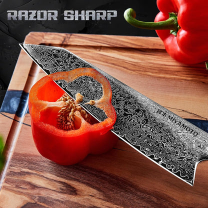 Miyamoto 8-Inch Japanese Damascus Chef Knife, 67-Layer Steel, Ultra-Sharp High Carbon Blade with Resin Handle for Precision Chopping and Carving
