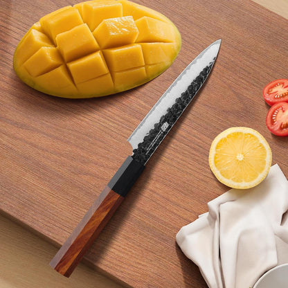 Japanese Kiritsuke Knife, 9 Inch Gyuto Chef Knife, Kitchen Knife with High Carbon Steel Blade, Octagonal Handle, for Meat, Fish, Vegetables and Fruits, Dynasty Series