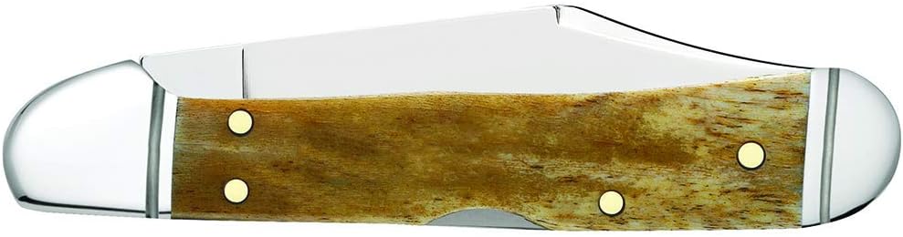 Case XX WR Pocket Knife Mini Copperlock Amber Bone W/Shield Item #133 (61749L SS) 3 5/8 inches Closed