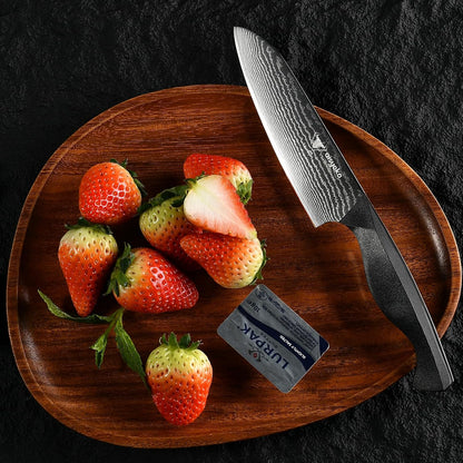 aisyoko Santoku Knife 5" inches-Japan 8C Super Steel 67 Layer Damascus Steel-Sharp Kitchen Knife-Full Tang ABS Anti-Skid Handle utility knife Cooking Knife with Luxury Gift Box