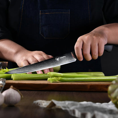 aisyoko Santoku Knife 5" inches-Japan 8C Super Steel 67 Layer Damascus Steel-Sharp Kitchen Knife-Full Tang ABS Anti-Skid Handle utility knife Cooking Knife with Luxury Gift Box