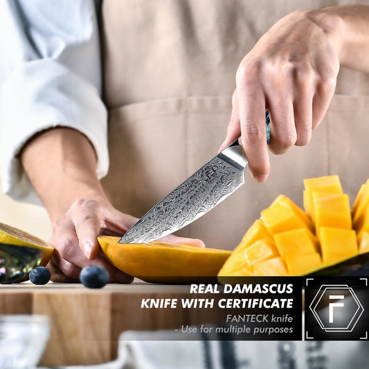 Fanteck Damascus 5 inch Chef Knife Utility Knife,Japanese VG10 Steel Kitchen Petty Knife,Professional Paring Knives High Carbon Super Sharp, 67-Layer with Full Tang Abalone Shell Handle & Wooden Cover