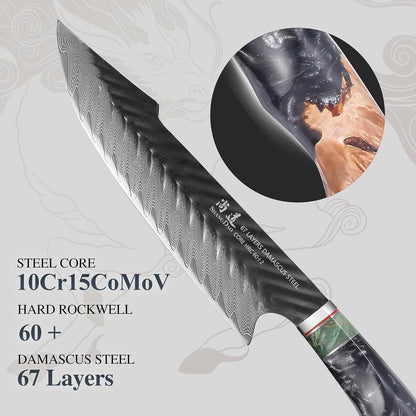 Damascus Chef Knife 8 Inch,67 Layers Alloy Steel Professional Kitchen Knives with Leather Sheath, Hand Forged Resin & Wood Handle QILIN Series