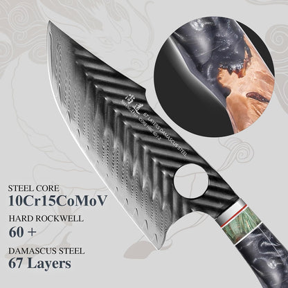 Damascus Chef Knife 8 Inch,67 Layers Alloy Steel Professional Kitchen Knives with Leather Sheath, Hand Forged Resin & Wood Handle QILIN Series