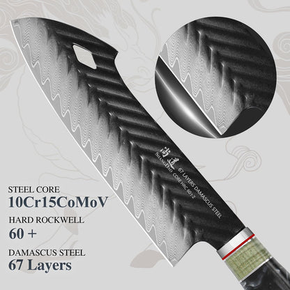 Damascus Chef Knife 8 Inch,67 Layers Alloy Steel Professional Kitchen Knives with Leather Sheath, Hand Forged Resin & Wood Handle QILIN Series