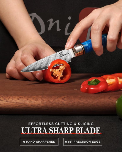 Kitchen Utility Knife 5 Inch, Japanese VG10 Steel Damascus Chef Knife | Sharp Paring Knife with Resin & Birch Wood Handle, Suitable for Meat, Vegetables, Fruit & Daily Prep, Ideal for Gifting