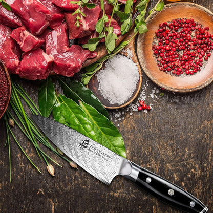 TUO Paring Knife 3.5 Inch - Ultra Sharp Peeling Knife - High Carbon Stainless Steel - Full Tang G10 Handle with Gift Box - Black Hawk S Series